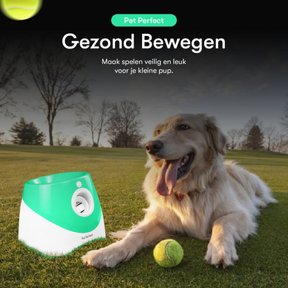 automatische ballenwerper voor honden voor golden retrievers