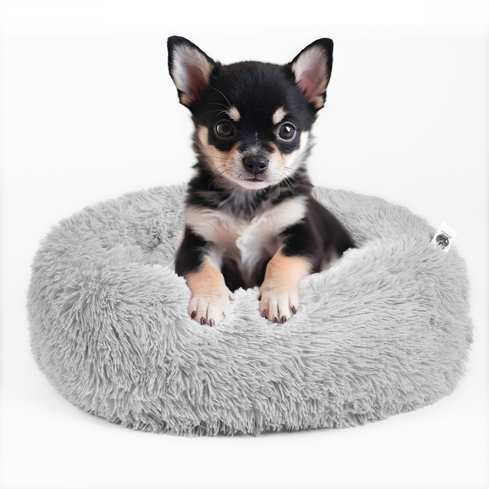 Kleine donut hondenmand in grijs met chihuahua